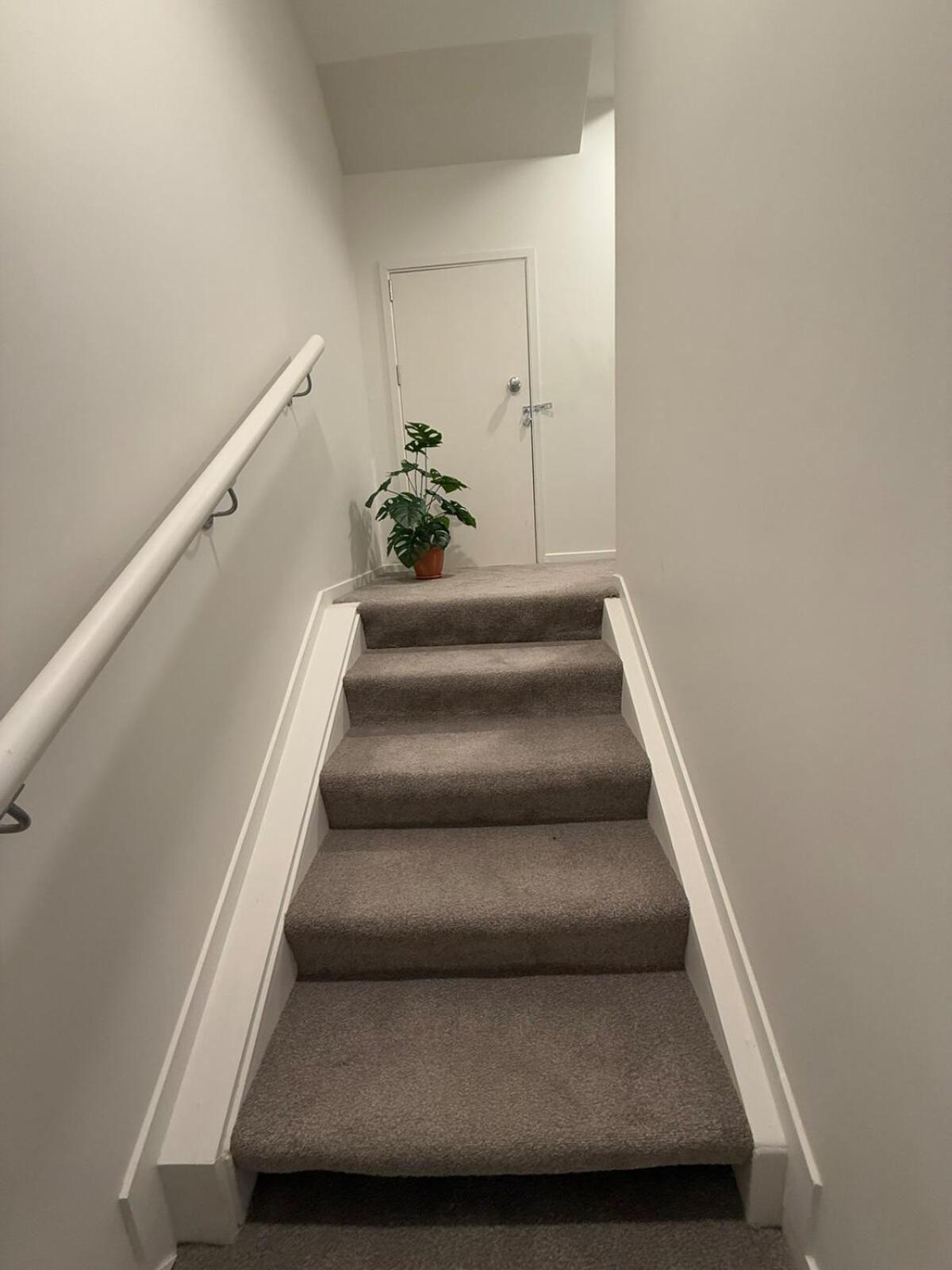 Sky Stars 2b1b Family With In Akl Cbd With Free Parking Apartment