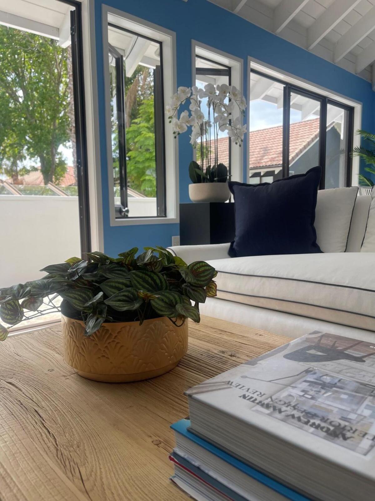 Emerald Penthouse Takapuna Apartment Auckland