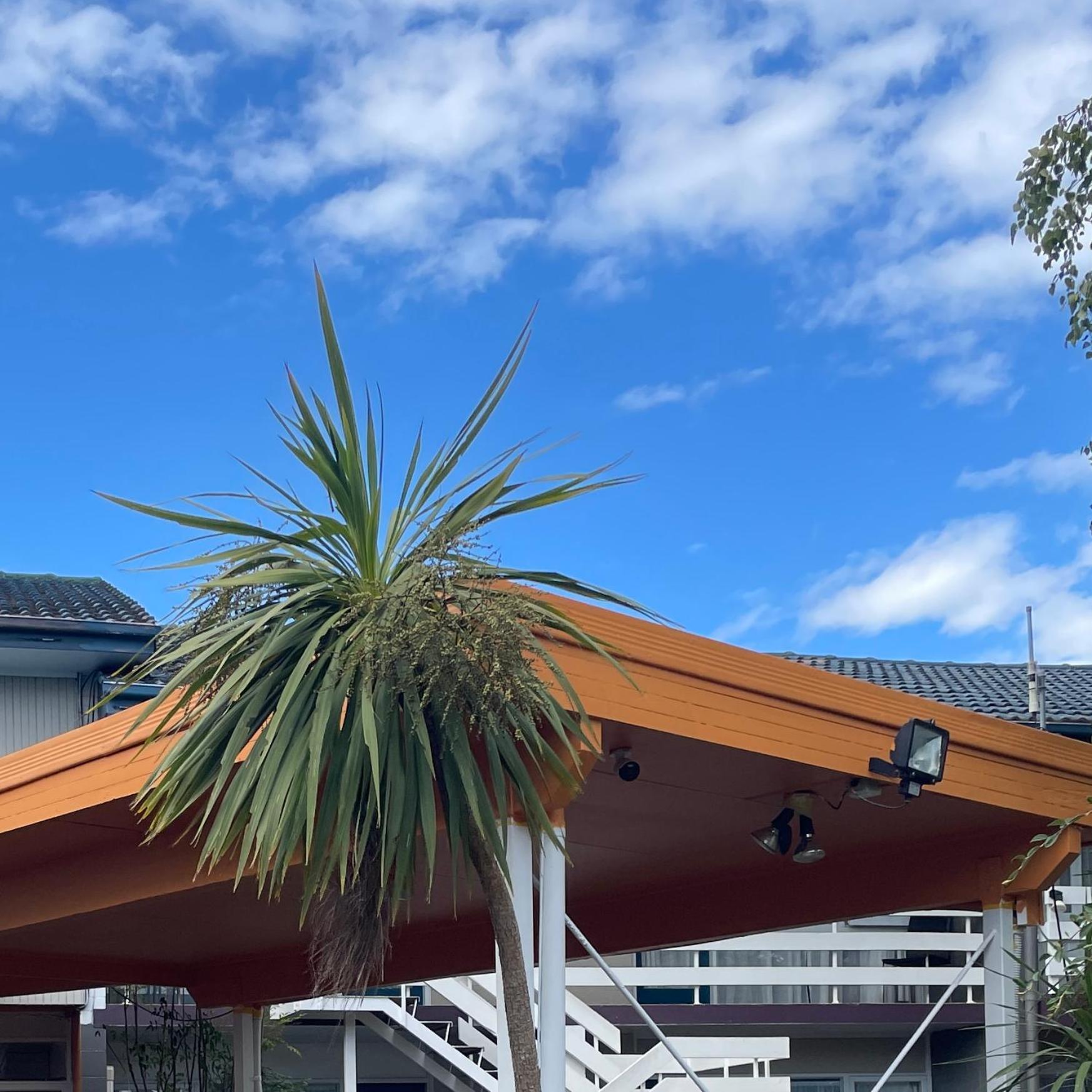 Motel Mount Eden