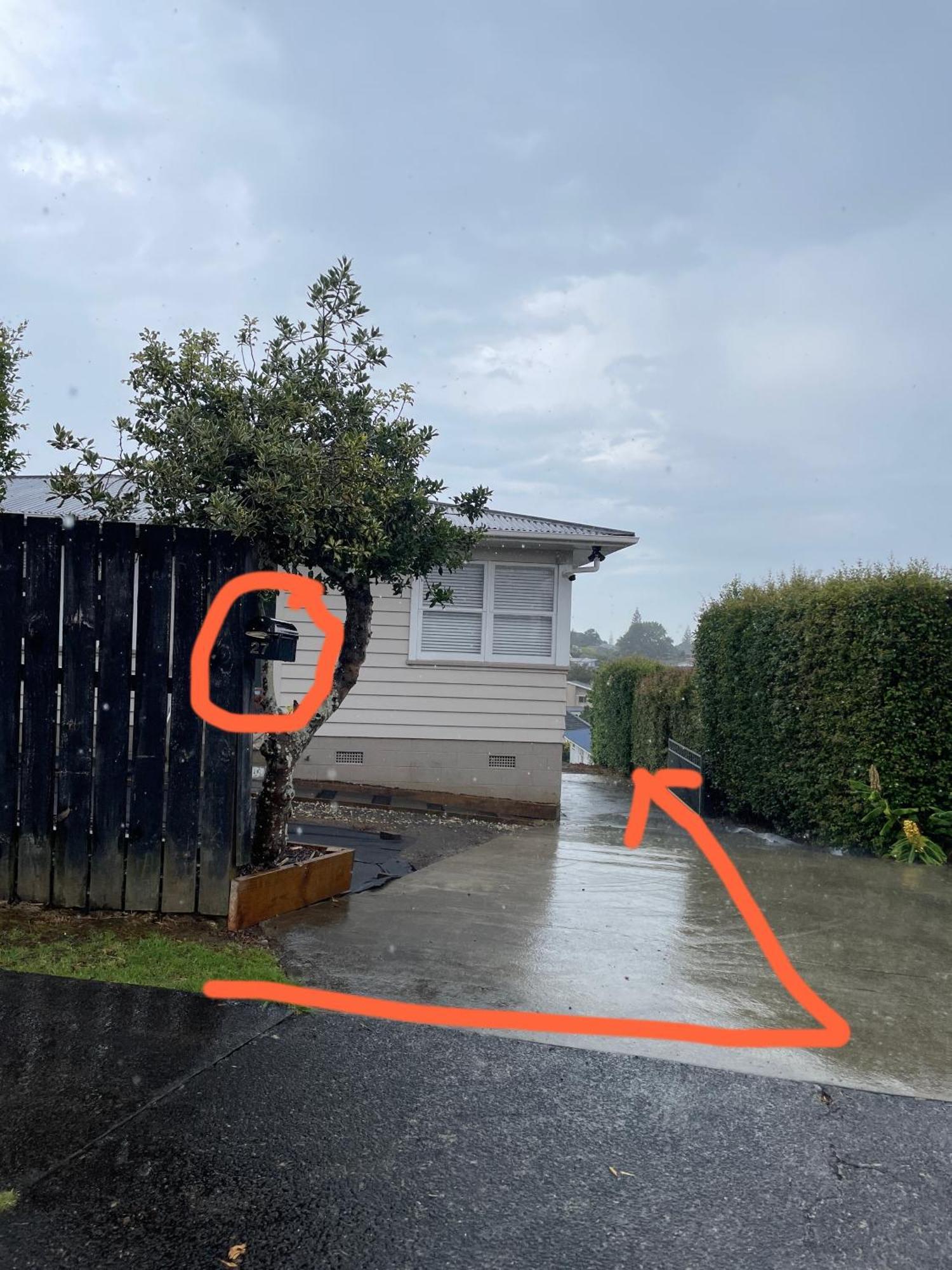 Living Oasis Auckland