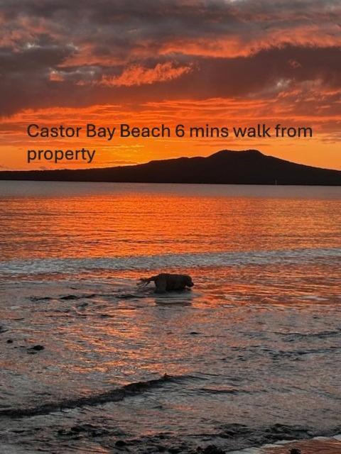 Coastal Hideaway Castor Bay * Auckland
