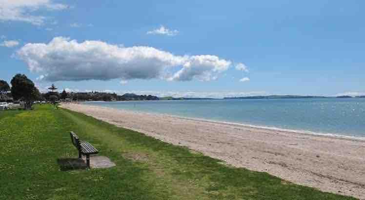 Haven Auckland