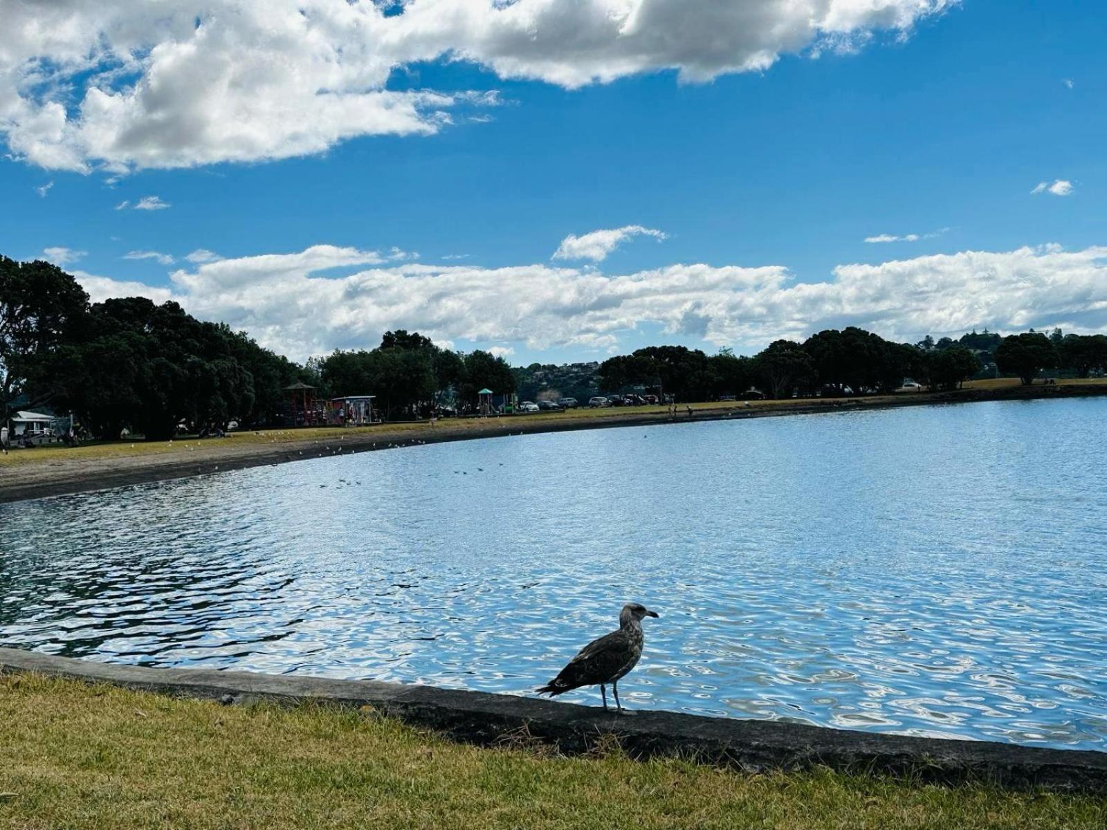 Waterfront Unit Near Airport * Auckland