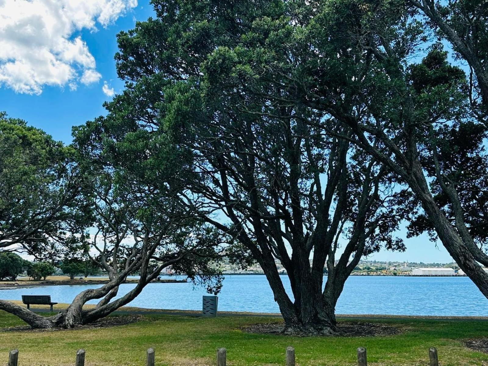 Waterfront Unit Near Airport Auckland