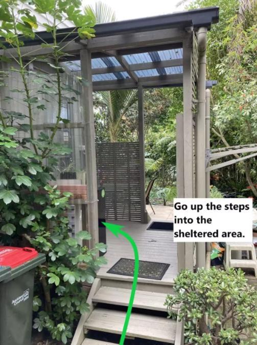 Joe & Mary's Cosy Homestay Auckland
