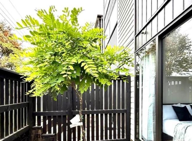 Modern Brand New Luxury Retreat In Papatoetoe Auckland