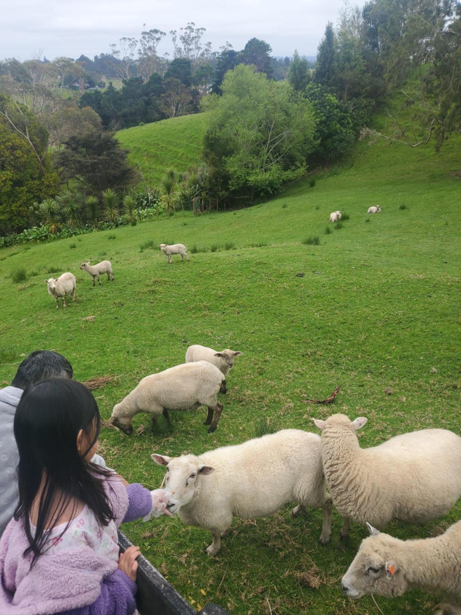 Sunshine Valley *