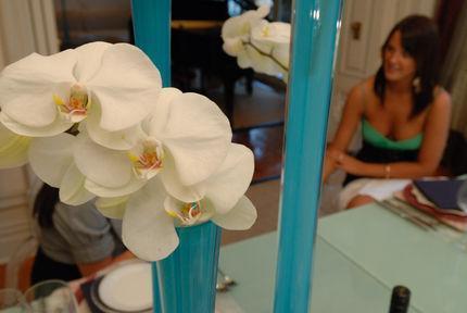Mollies Boutique Hotel Auckland