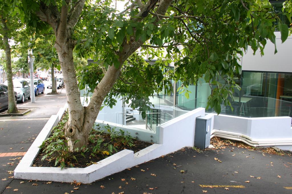 Motel Parnell Pines