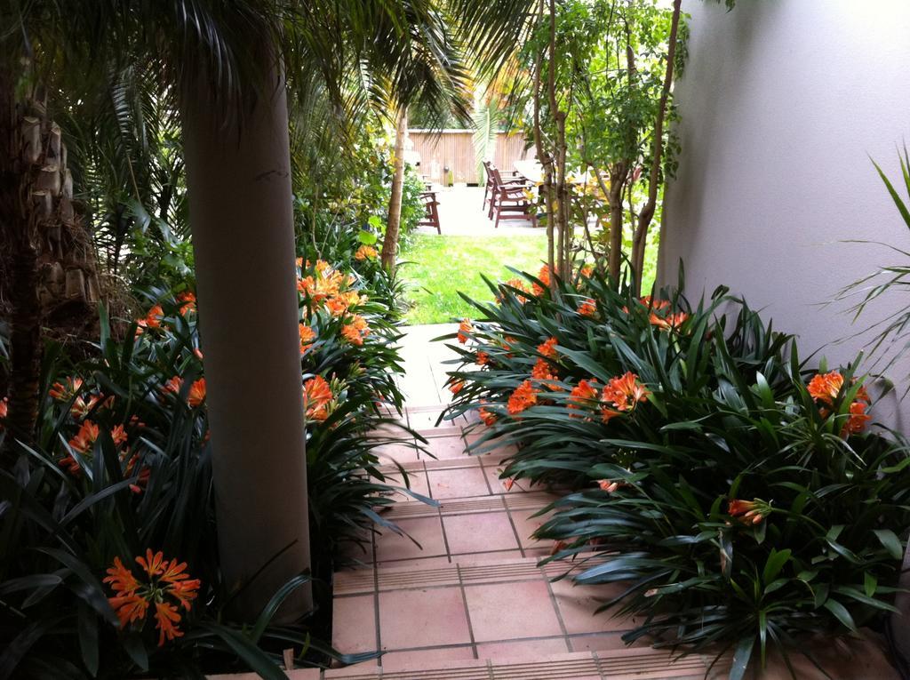 Apartamento Palm Garden Auckland