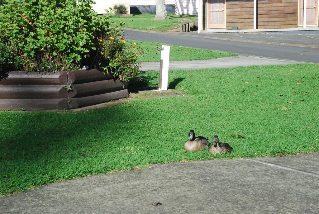 Avondale Motor Park 4* Auckland