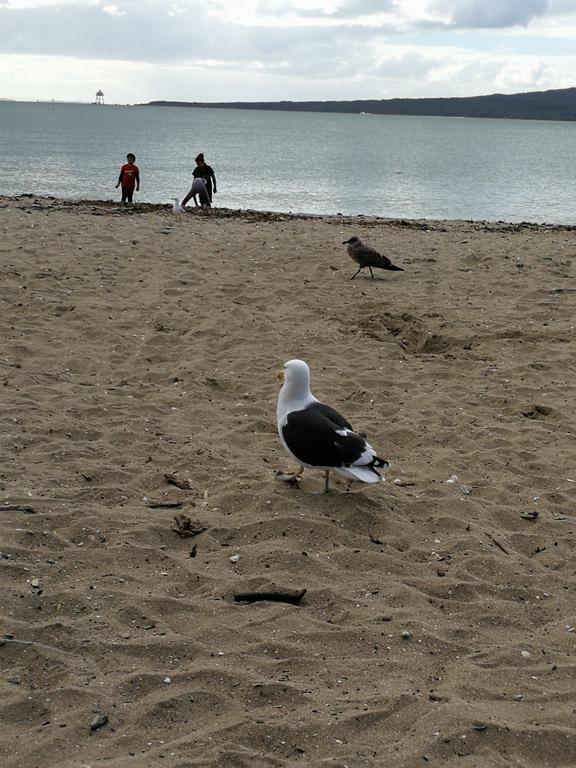 Mission Bay Auckland