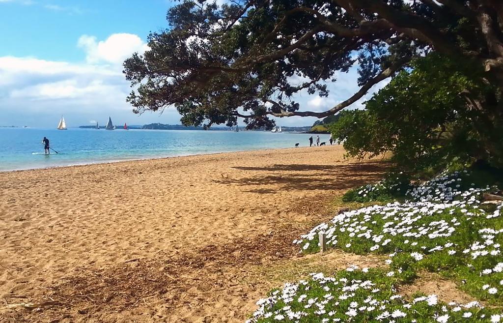 Apartment Devonport Studio Self Catering Auckland