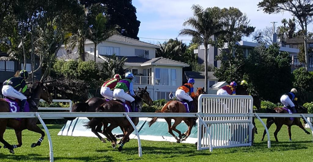Apartment Racecourse Deluxe *