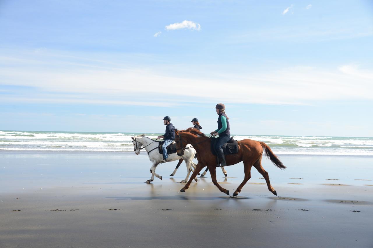 Holiday home Coast Retreat Muriwai - Walk To The Beach! *