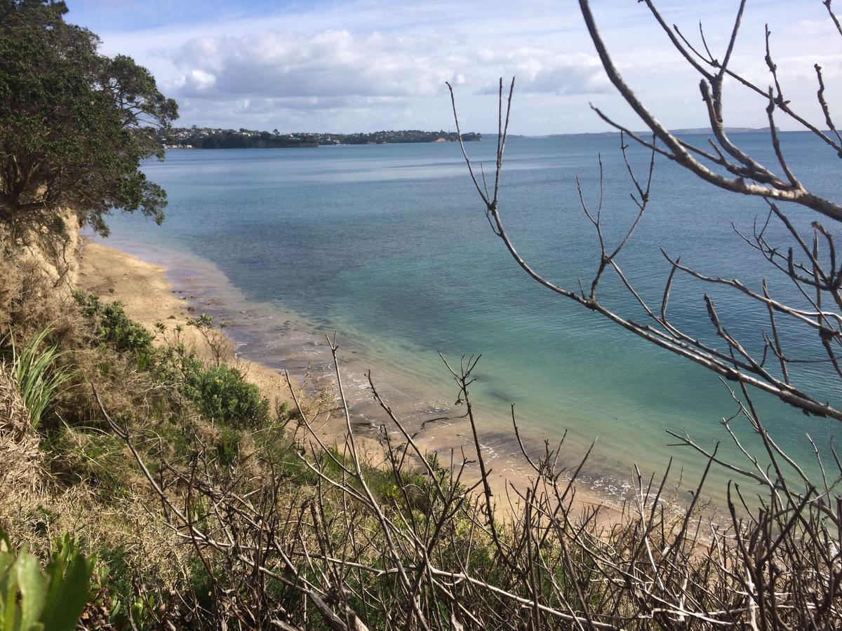 Beach Lodge Apartment Auckland