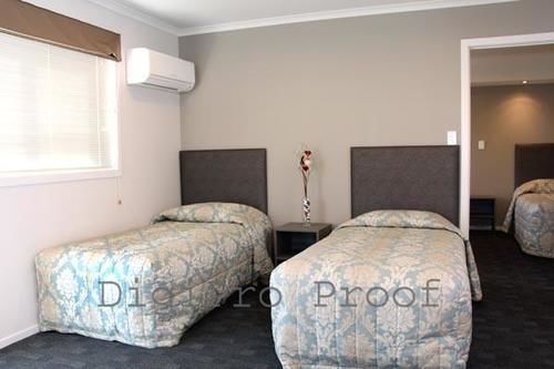 Phoenix Palm 3*