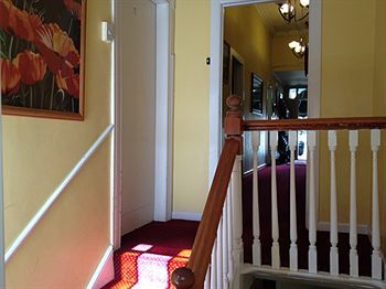 Hostel Freemans Backpackers *