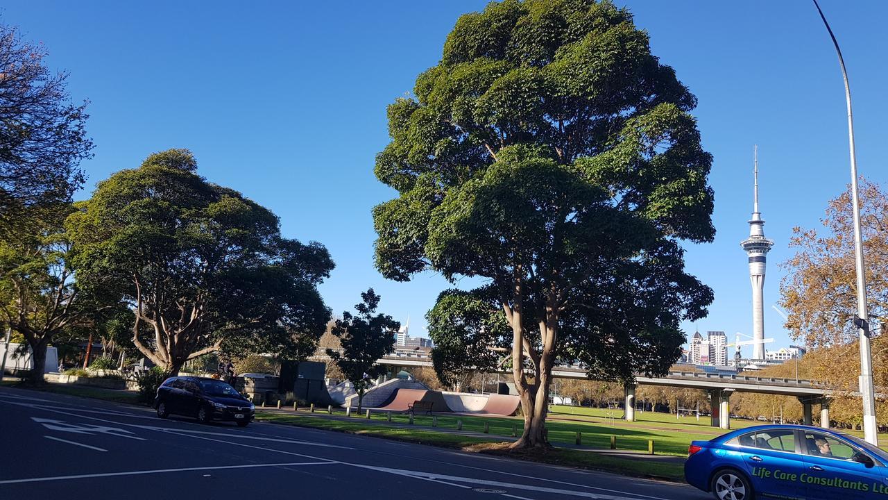 Fisher Point - Shared Bed & Breakfast Auckland
