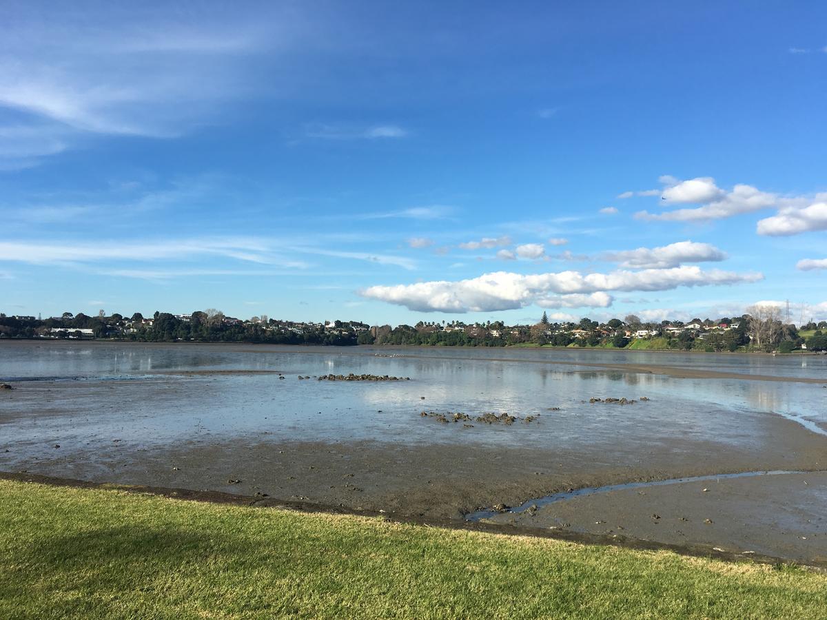 Apartment Auckland Gq Flat Bush Holiday Home Auckland