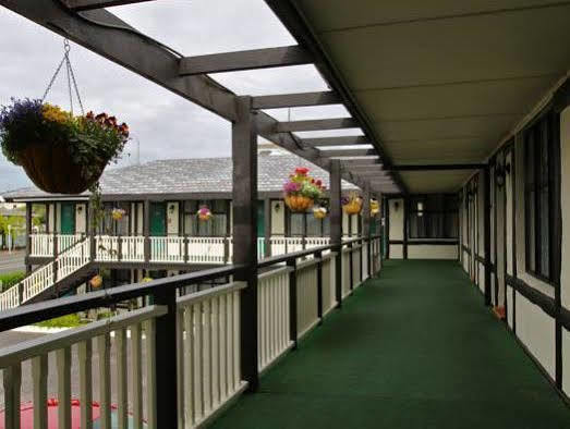 The Surrey 4*