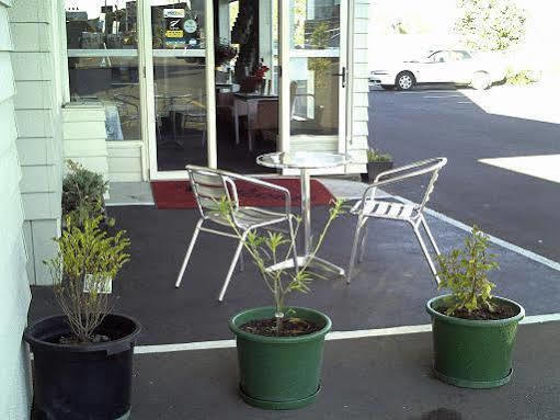 540 On Great South 4* Auckland