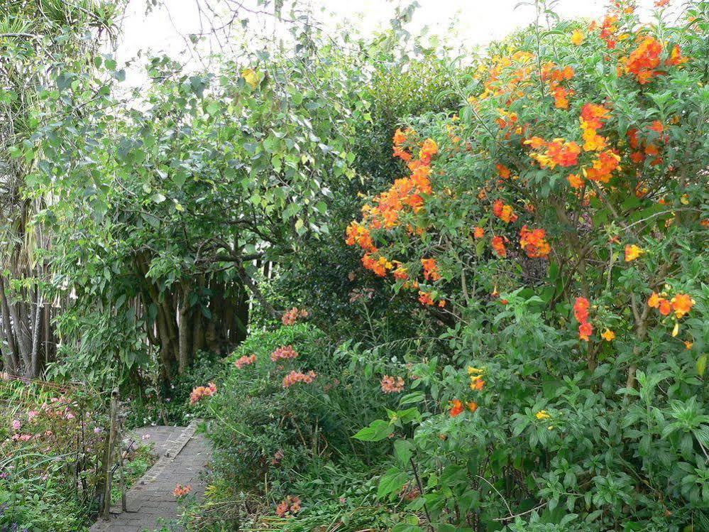 Mount Hobson * Auckland