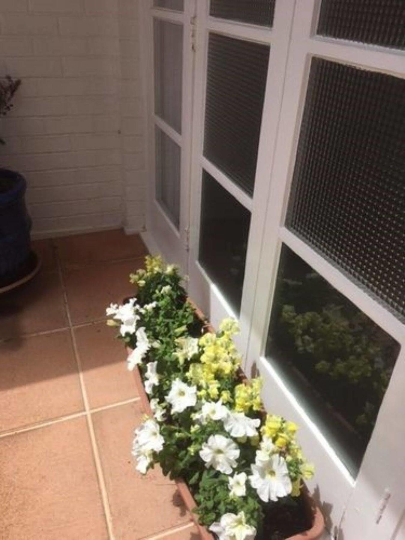Motel Aarangi 3*