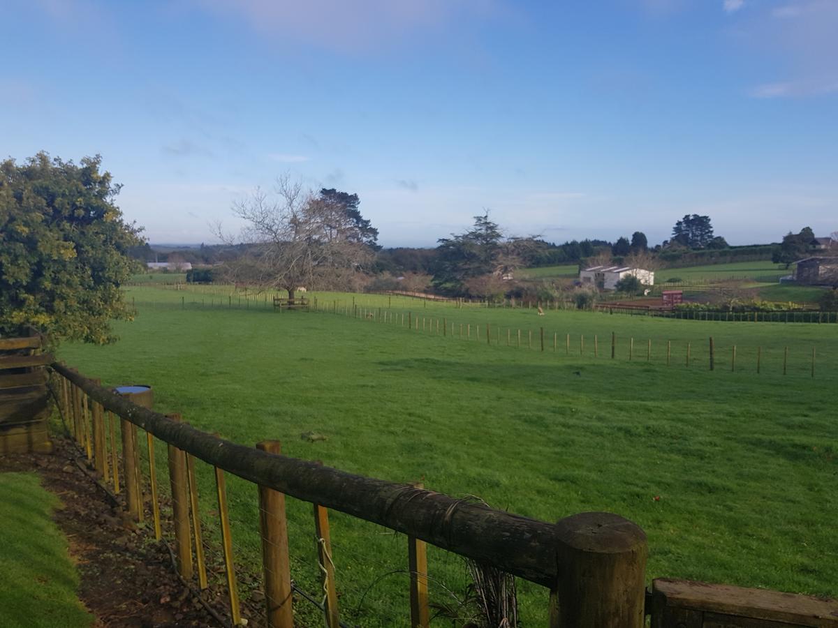 Green Hill Farm Auckland