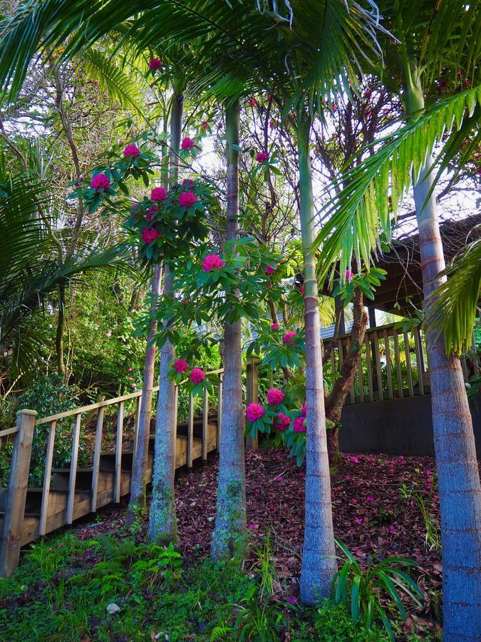 Bed & Breakfast Tastebuds Auckland