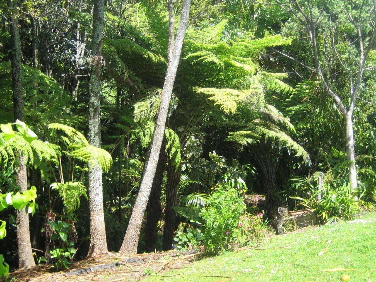 Whitby - Mairangi Bay