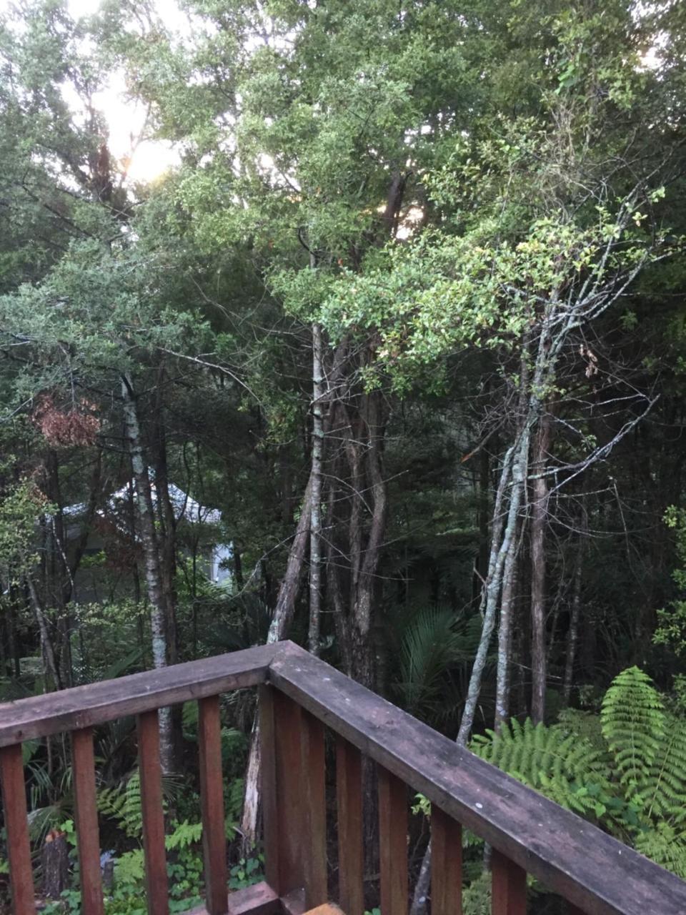 Bush Paradise Homestay *