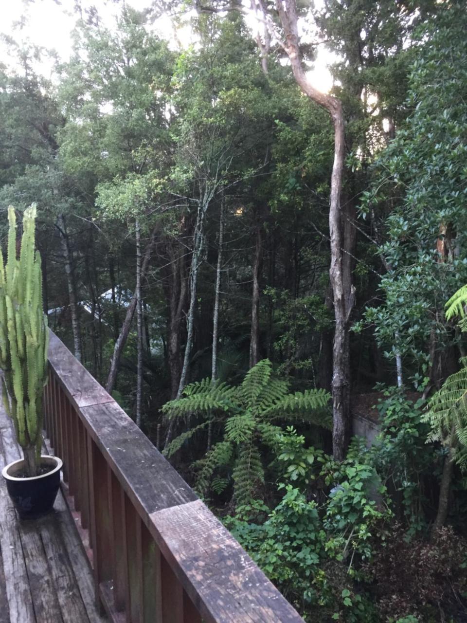 Homestay Bush Paradise *
