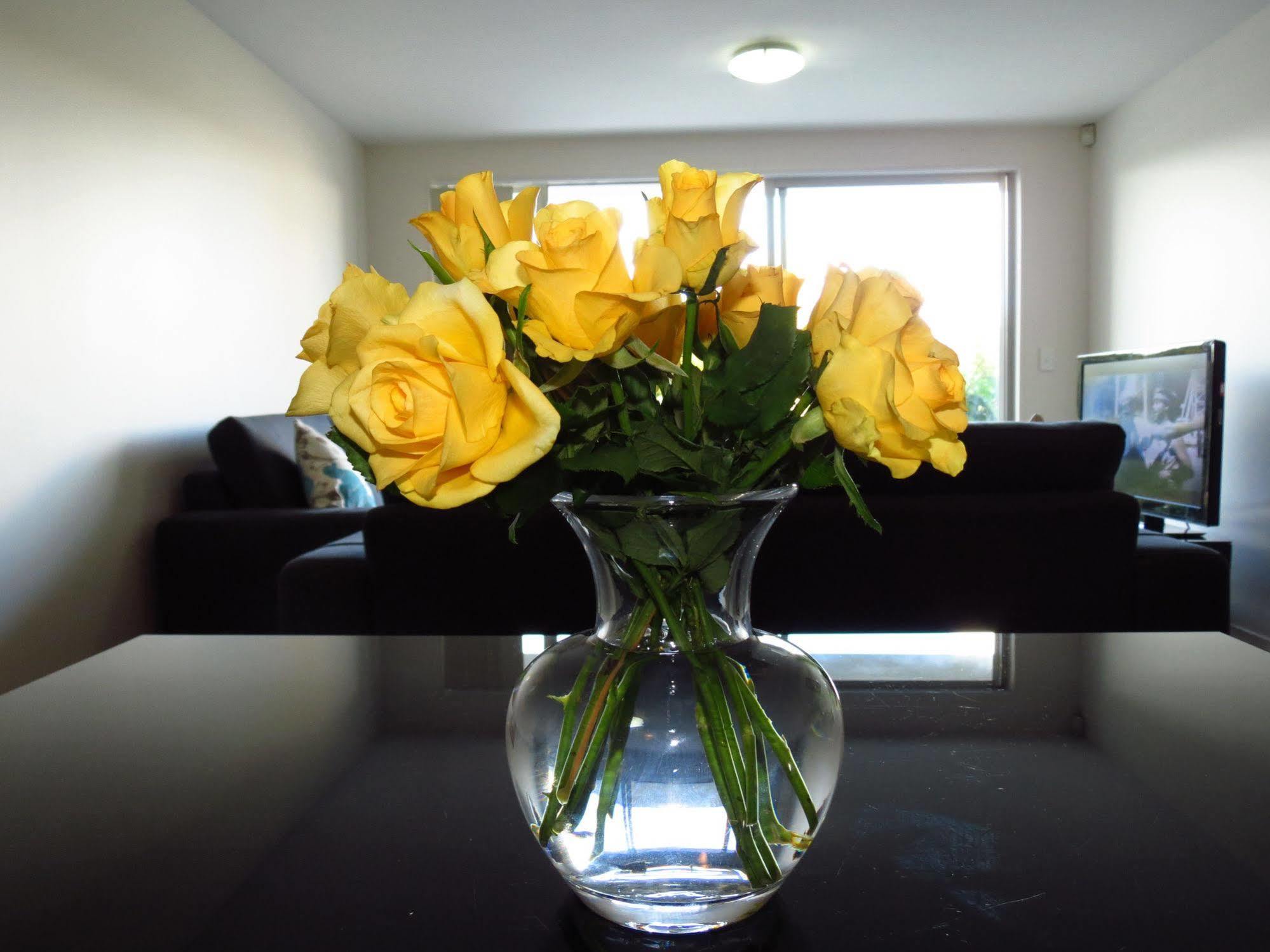 Nesuto Newhaven Aparthotel Auckland