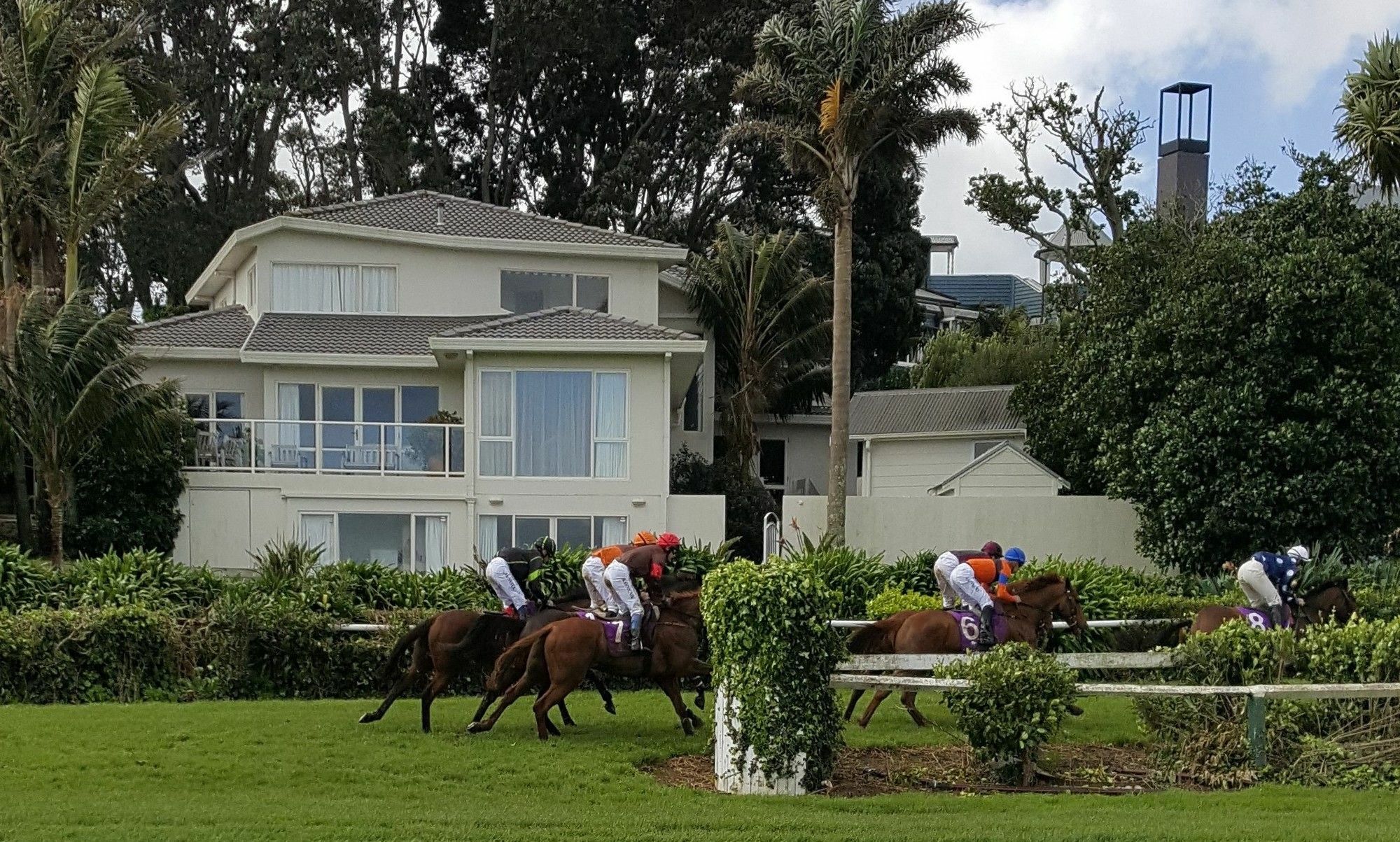 Racecourse Deluxe Auckland