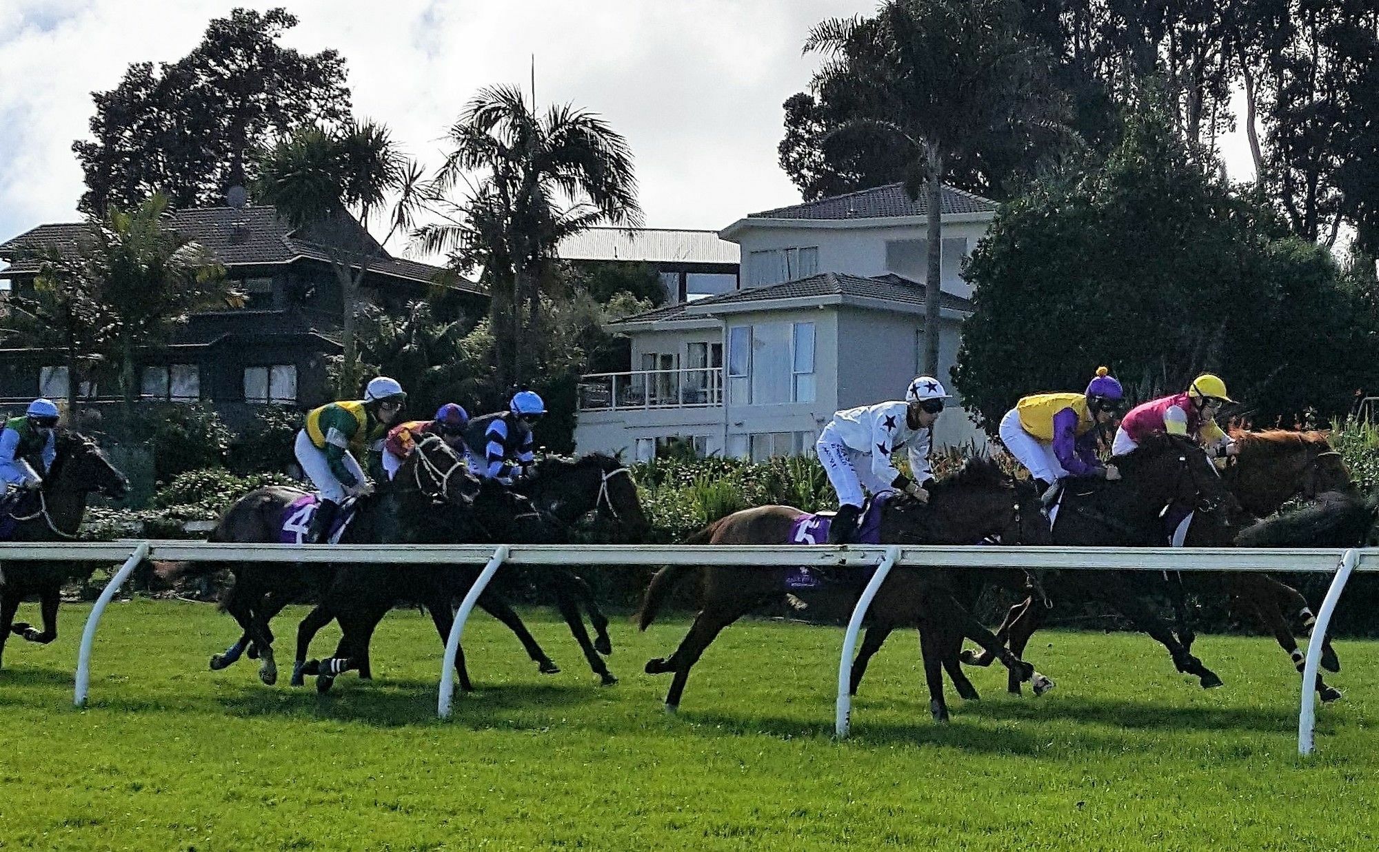 Apartment Racecourse Deluxe