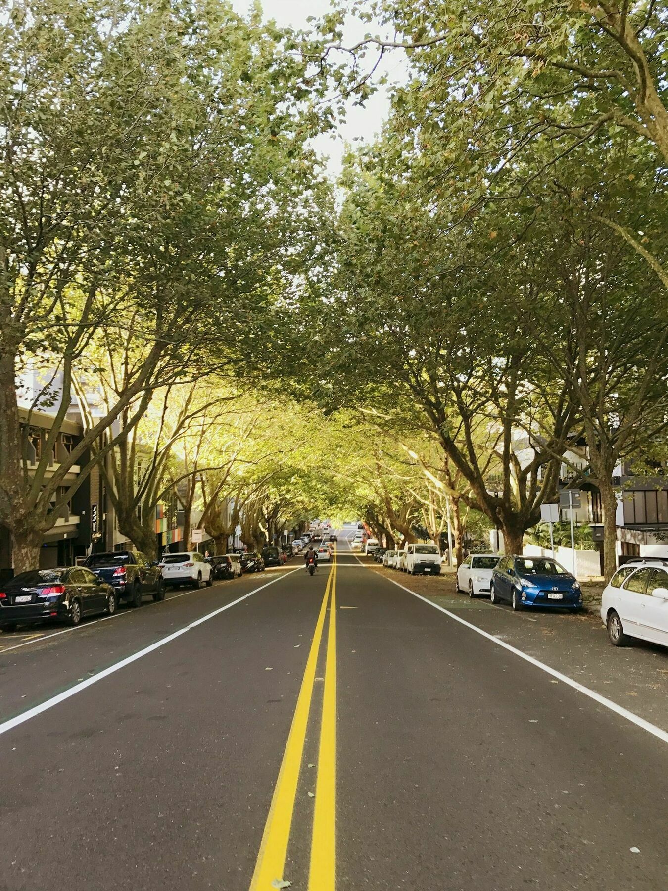 Apartment Leafy Street