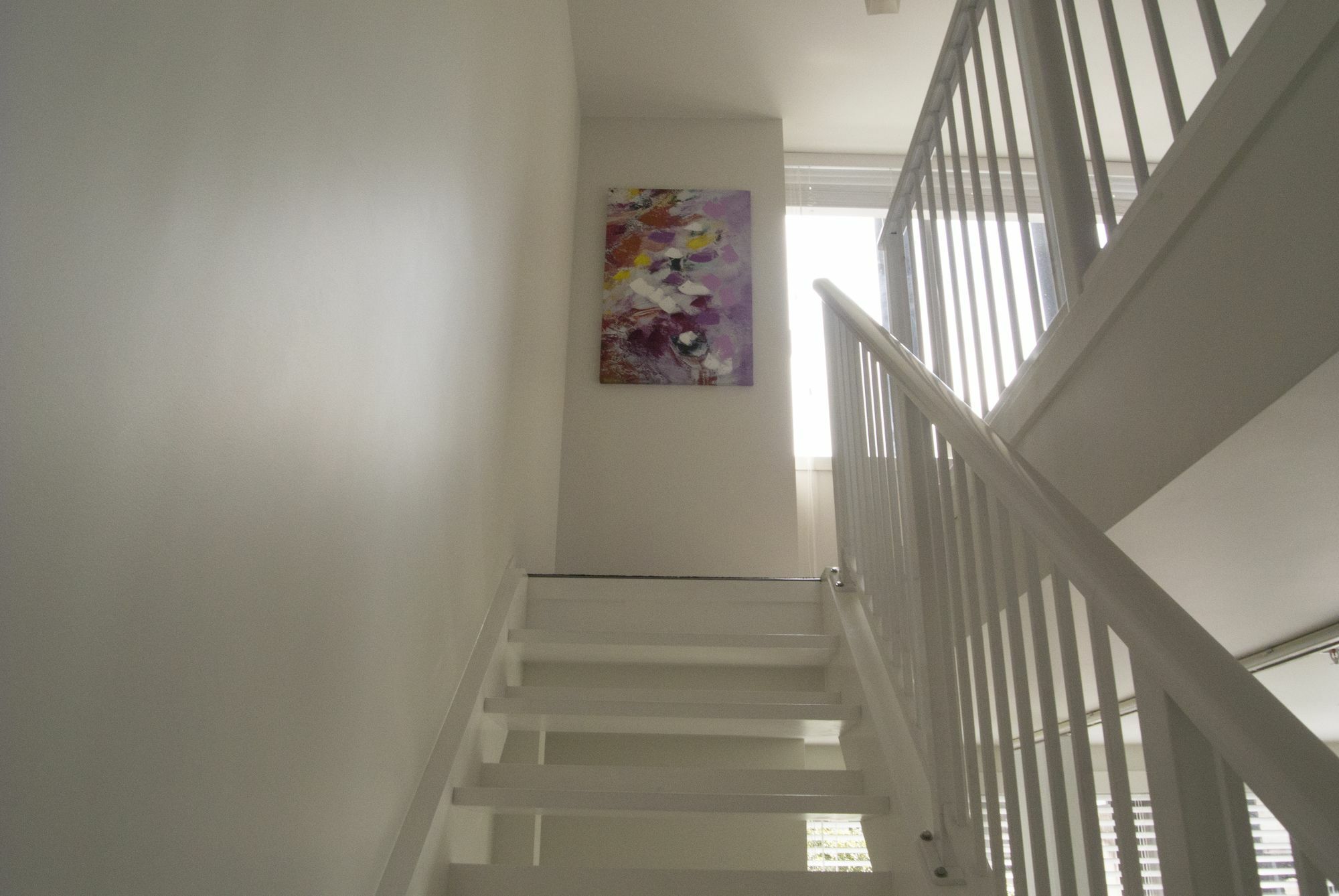 Amazing In The Apartment Auckland