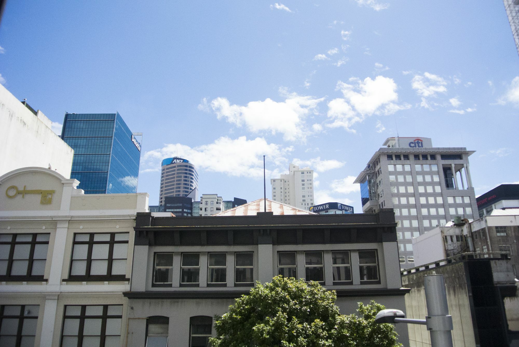 Amazing In The Auckland