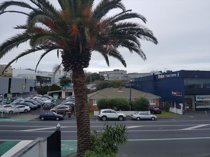Apartment Budget In Kingsland *