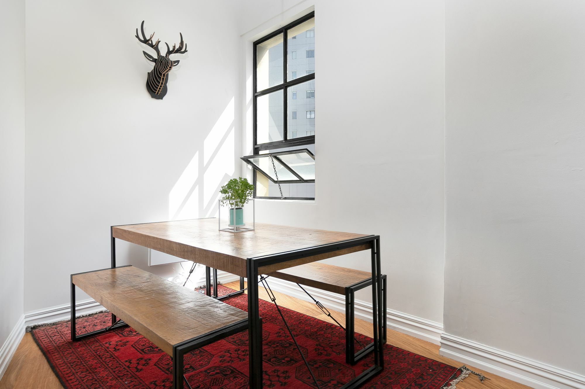 Beautiful Modern Apartment Auckland