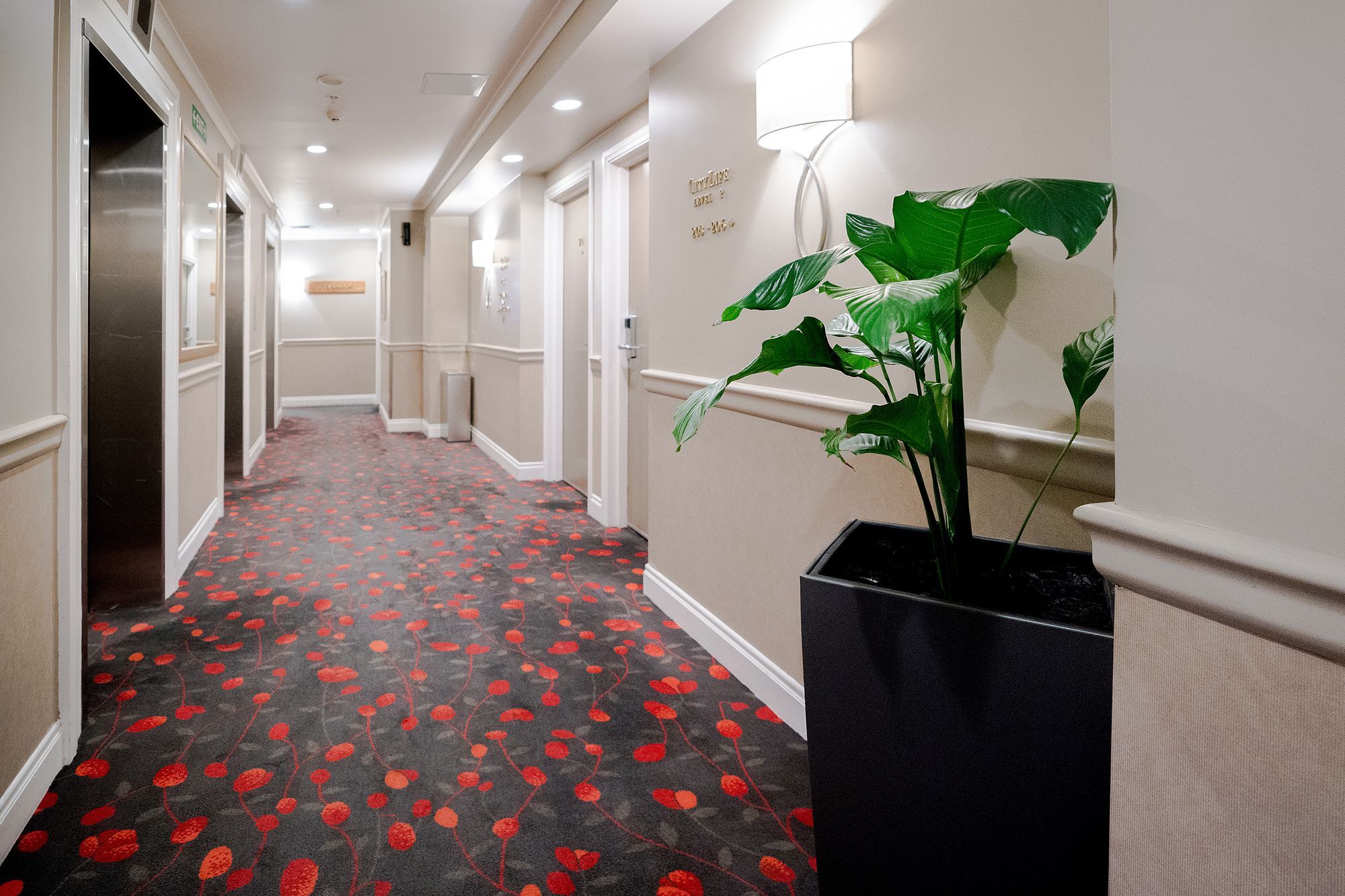 Private At 4.5 Star Hotel 3*