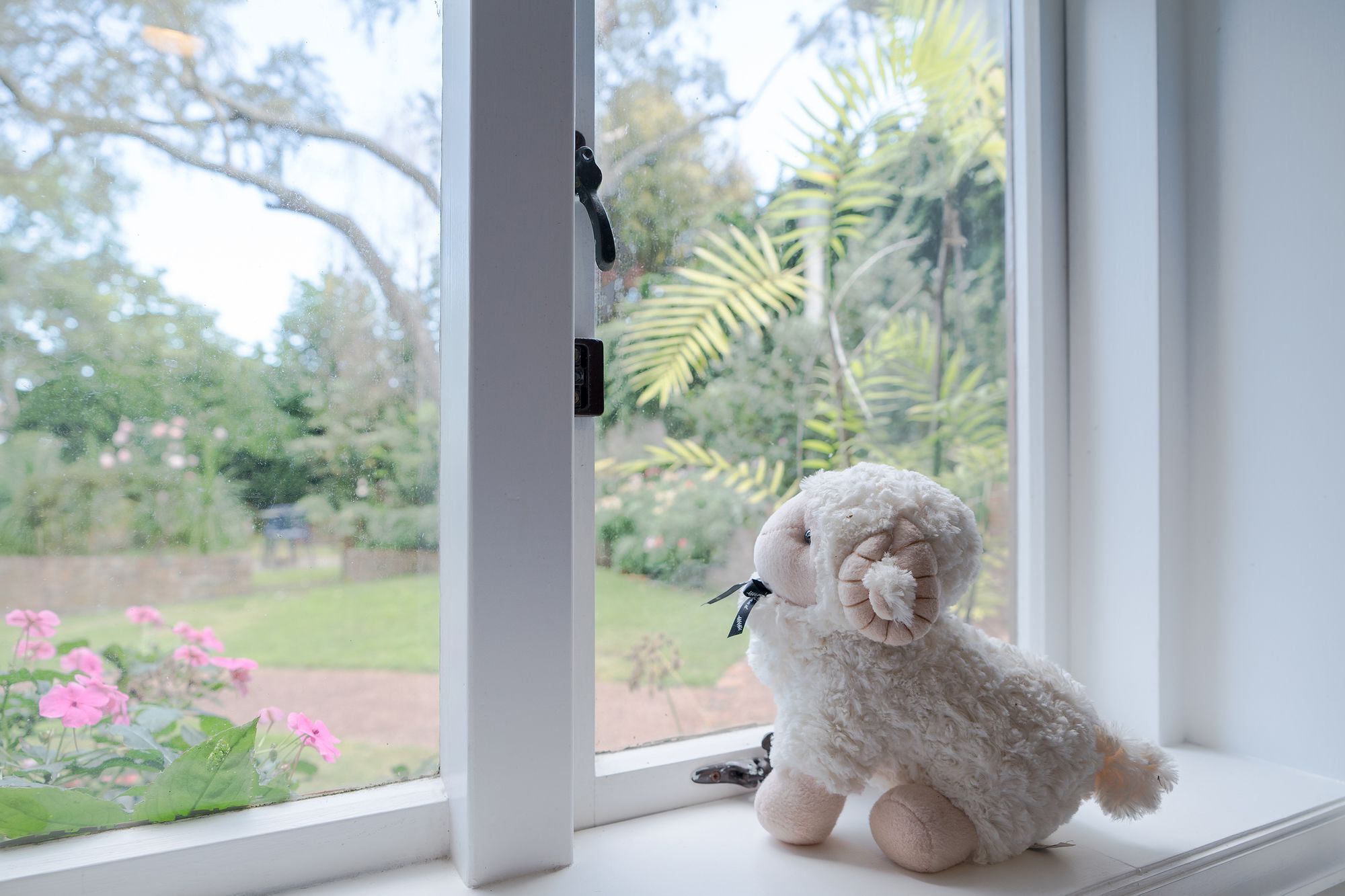 Epsom With Pool Apartment Auckland