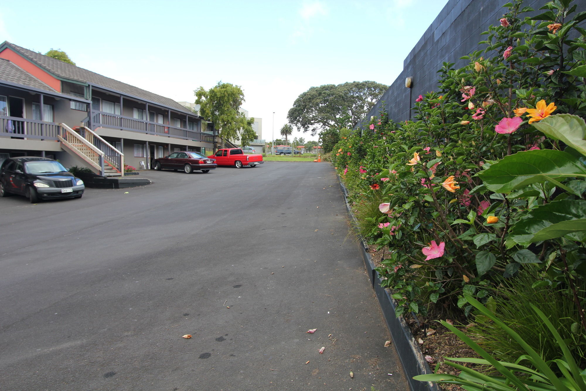 80 Auckland