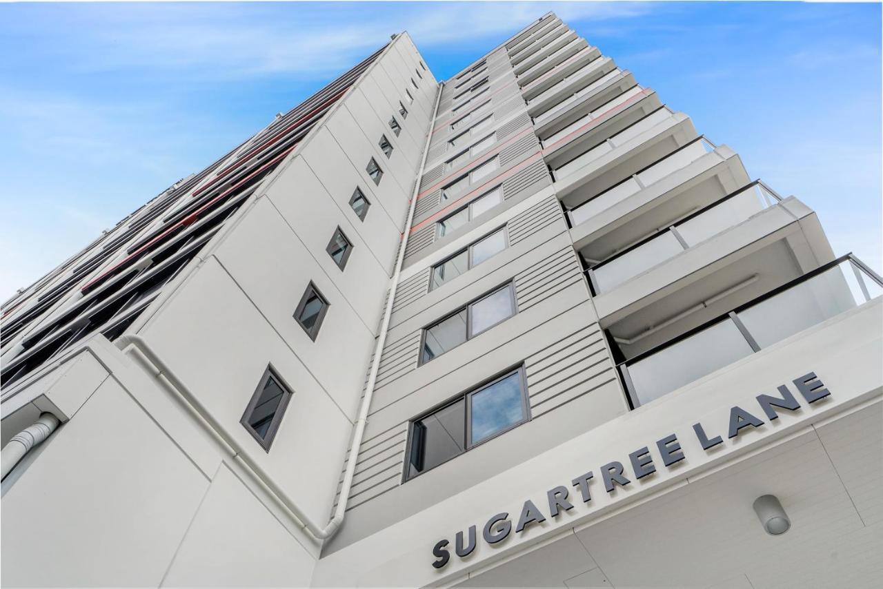 Sugar Tree