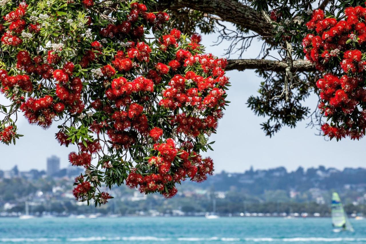 Mahoe Apartment, Heart Of Devonport Village Apartment *