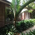 Springfield Studio