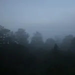 The Hidden Retreat