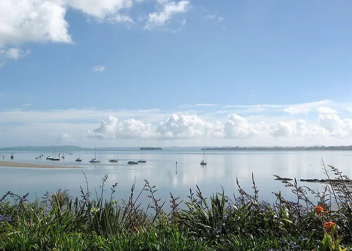 Seafields