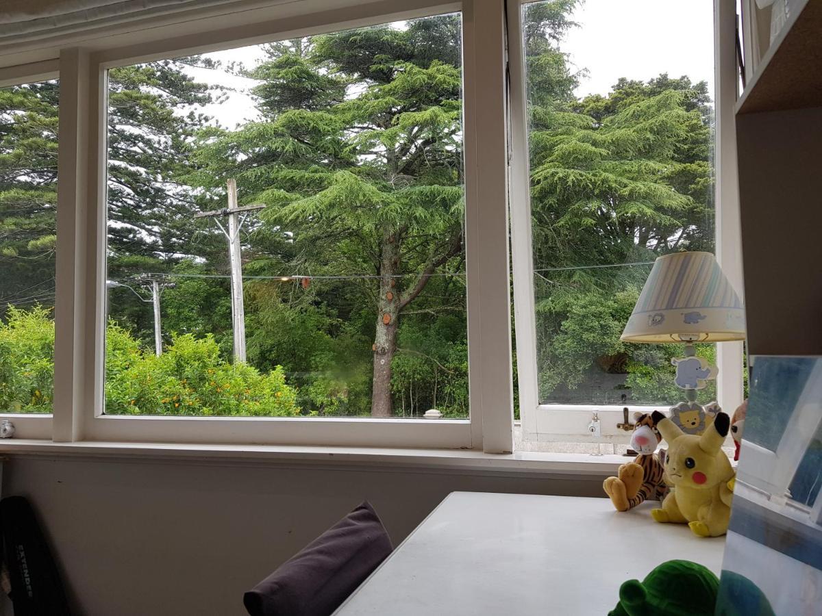 Pine * Auckland